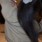 Rayla (Photo #15)