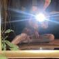 Fredy (Photo #2)