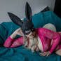 T_melissa (Photo #6)