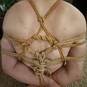 Linda Rope (Photo #4)