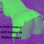 JLC Q d\'enfer (Photo #9)