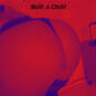 JLC Q d\'enfer (Photo #16)