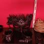 Dominatrice travesti (Photo #34)