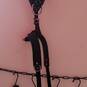 Dominatrice travesti (Photo #6)
