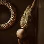 Vitta Ferragamo (Photo #5)