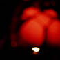 Nam (Photo #14)