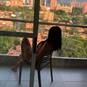 Rebeca (Photo #19)