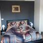 Kamer verhuur - room for rent - Regio Waregem (Photo #9)