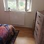 Kamer verhuur - room for rent - Regio Waregem (Photo #7)