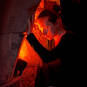 Narcisa (Photo #2)