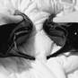Callisto (Photo #4)