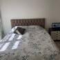 Freedoom (Photo #2)