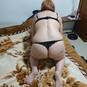 Cat (Photo #7)
