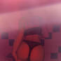 Lila (Photo #4)