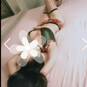 ThaiTouch (Photo #16)