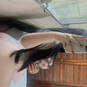 Pietra (Photo #19)