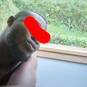 Sgy49 (Photo #2)