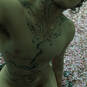 Heliasmectrans (Photo #3)