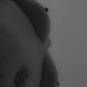 Cilla (Photo #2)