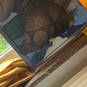Ketsia (Photo #2)