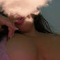 Camelia (Photo #2)