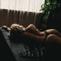 Rose (Photo #6)