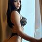 Flavia latina (Photo #16)