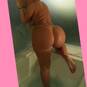 BIG ASS...... (Photo #6)