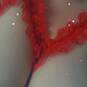 Bluephoenix1369 (Photo #5)