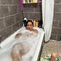 NIKOLLY DOMINATRIZ (Photo #12)