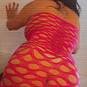 Poly latina (Photo #9)