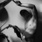 IrisRedHorse (Photo #8)