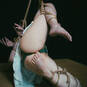 IrisRedHorse (Photo #3)