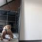 Couple Gay (Photo #4)