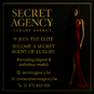 Secret Agency (Photo #12)