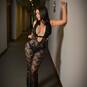 Estrella (Photo #6)