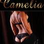 Camélia (Photo #3)