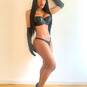 Tayra (Photo #51)