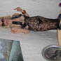 Tania Blonde Prive (Photo #14)