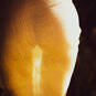 Ava Boudoir photographie (Photo #141)