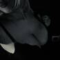 Eva (Photo #28)