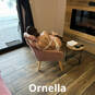 Priv Nostalgie (Photo #3)
