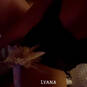 Lyana 9H-18H (Photo #30)