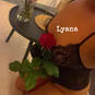 Lyana 9H-18H (Photo #8)