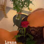 Lyana 9H-18H (Photo #10)