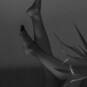 Morgane Forever (Photo #5)