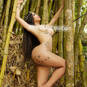 Anthonella yturbe (Photo #27)