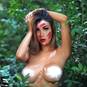 Anthonella yturbe (Photo #8)