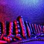 Kink Ink (Photo #23)