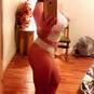 MARTINA SENSUEELLE (Photo #4)